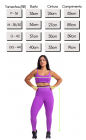 Conjunto Fitness Top e Calça Legging Roxa Detalhe Preto